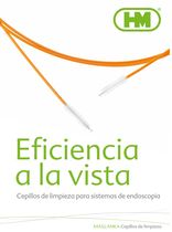 Cepillos de Limpieza