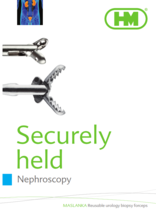 Nephroscopy