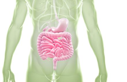 Gastroenterologie